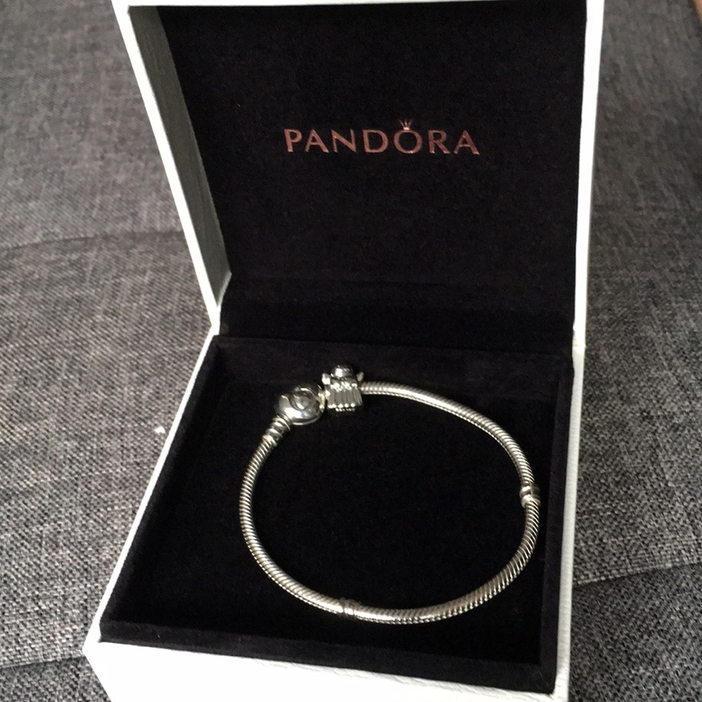 Pandora charm bracelet